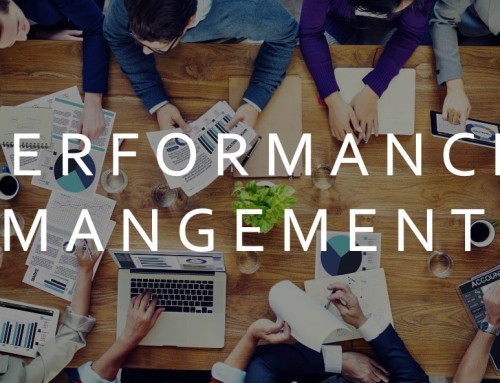 From Measurement to Action: How to Build an Effective Performance Management System