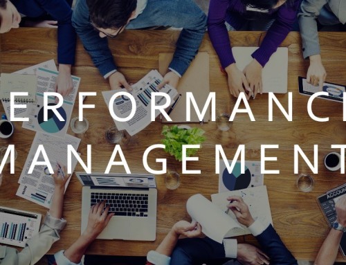 From Measurement to Action: How to Build an Effective Performance Management System